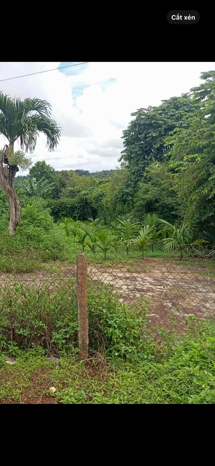 Đất nền 195m² tại đường 26A, phường Tân An, Buôn Ma Thuột chỉ 1.25 tỷ - Cơ hội đầu tư tuyệt vời!