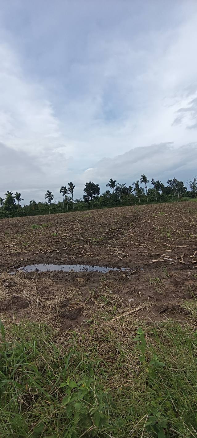 Đất nền Ea Kmút 256m² chỉ 380 triệu - Đầu tư sinh lời ngay!