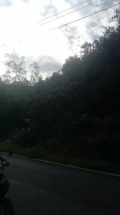 Đất nền 18 sào Đạ Tẻh Lâm Đồng giá chỉ 1.1 tỷ - Đường lớn 721, đầu tư sinh lời!