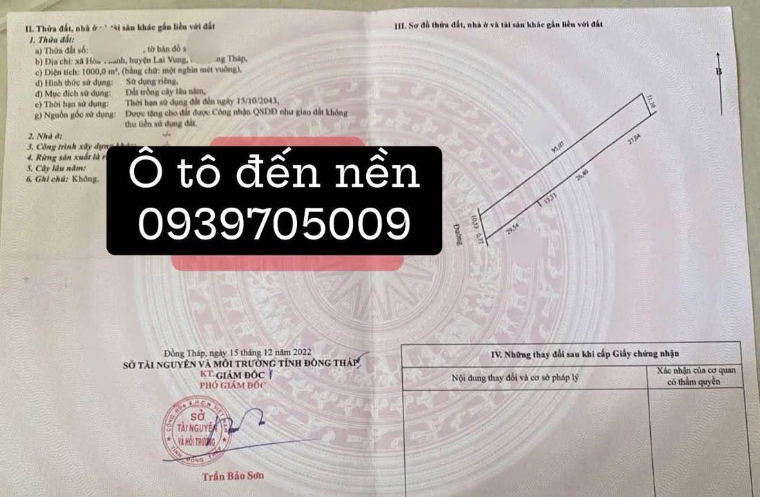 Đất vườn 1000m² xã Tân Dương giá 700 triệu - Hướng Tây Bắc, điện nước đầy đủ