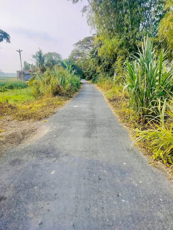 Đất nền mặt tiền nhựa xã Tân Thạnh, 624m² - Đầu tư sinh lời hấp dẫn!