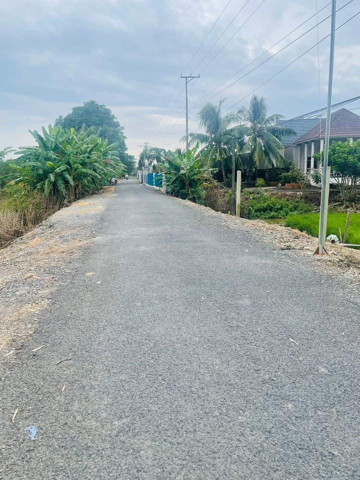 Đất nền mặt tiền nhựa Gáo Giồng 660m² - Đầu tư sinh lợi ngay!