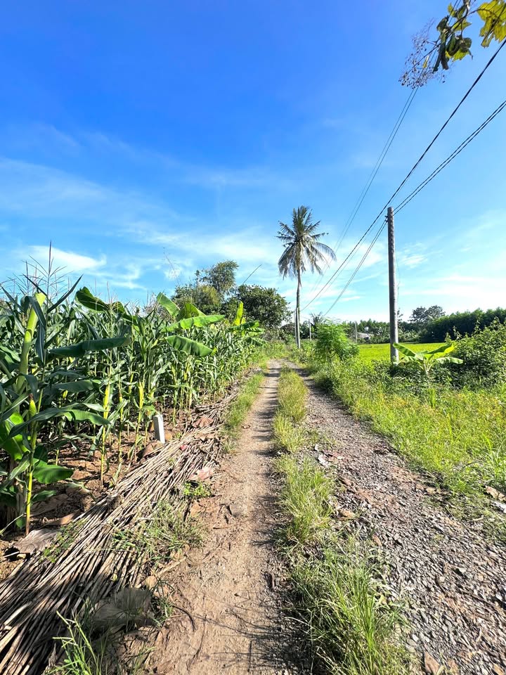 Đất nền đẹp 1100m² tại Gia Canh - Định Quán chỉ 690 triệu - Đầu tư sinh lời ngay!