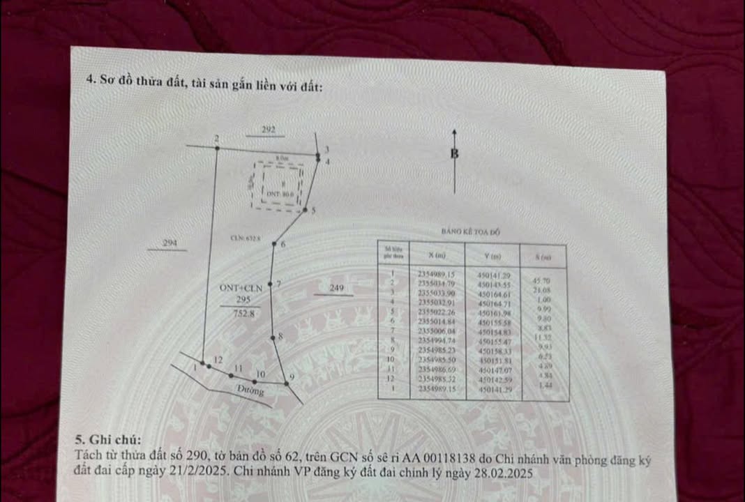 Đất nền 700m² tại Đồng Mạ, Lục Nam - Giá thỏa thuận chính chủ