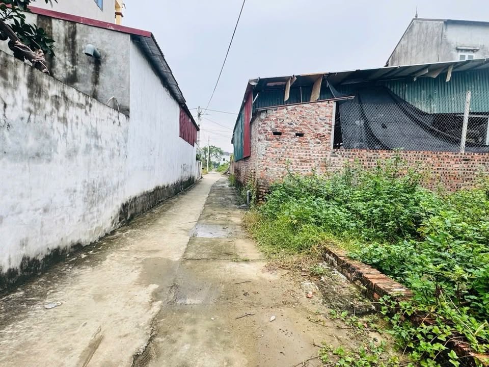 Đất thổ cư 69,2m² tại Quang Minh, Mê Linh - Giá chỉ 5x triệu/m² hấp dẫn!