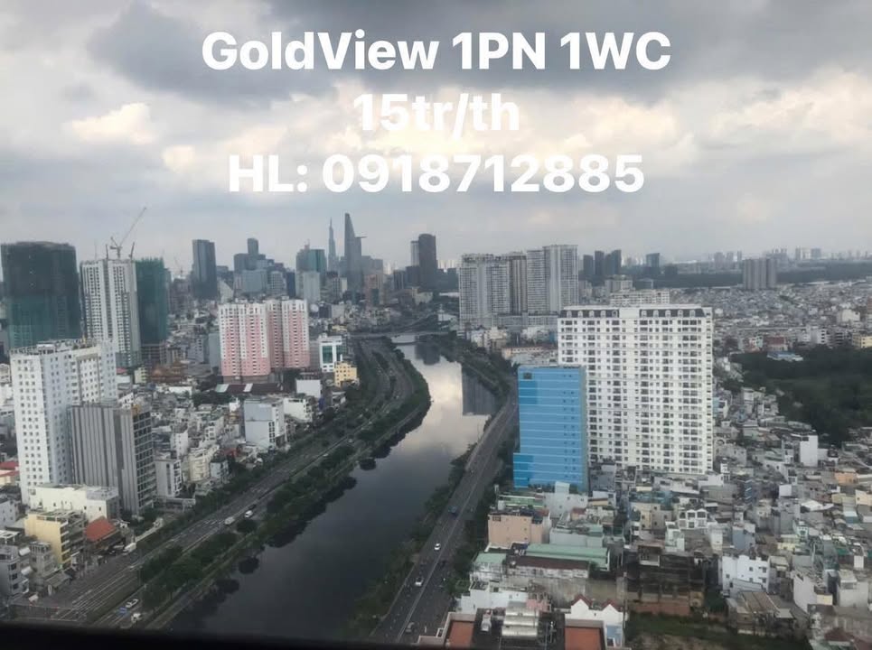 Chung cư Gold View Quận 4 50m² giá 15 triệu - Đầy đủ nội thất, sẵn sàng vào ở!