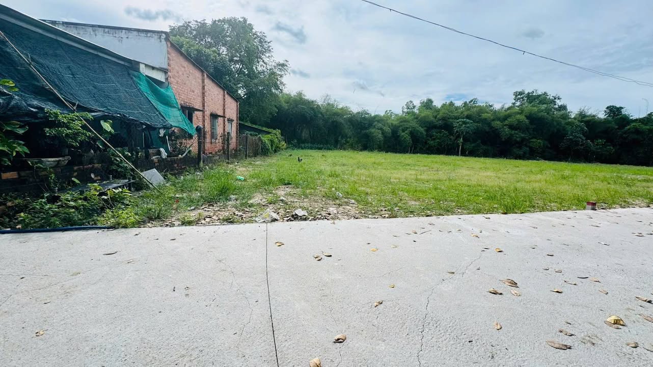 Đất nền xã Láng Dài - Đất Đỏ, Bà Rịa - Vũng Tàu 183m² giá chỉ 590 triệu - Cơ hội đầu tư tuyệt vời!