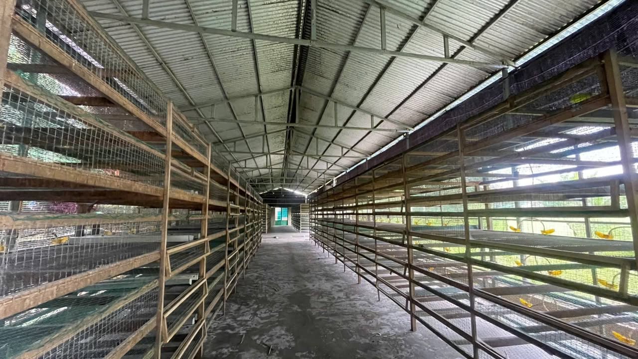 Đất vườn Hưng Thịnh Trảng Bom 2783m² giá 2.3 tỷ - Sổ hồng riêng, đầu tư sinh lời!