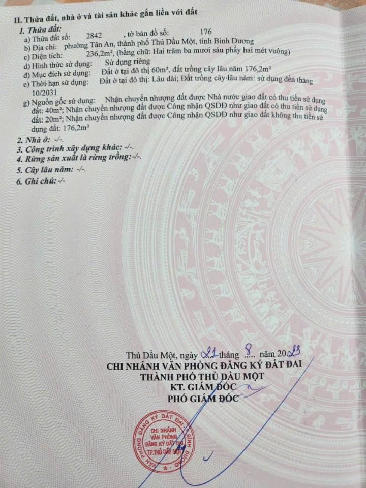 Đất mặt tiền DX129 Tân An 236m² giá 1.9 tỷ - Đầu tư sinh lời ngay!