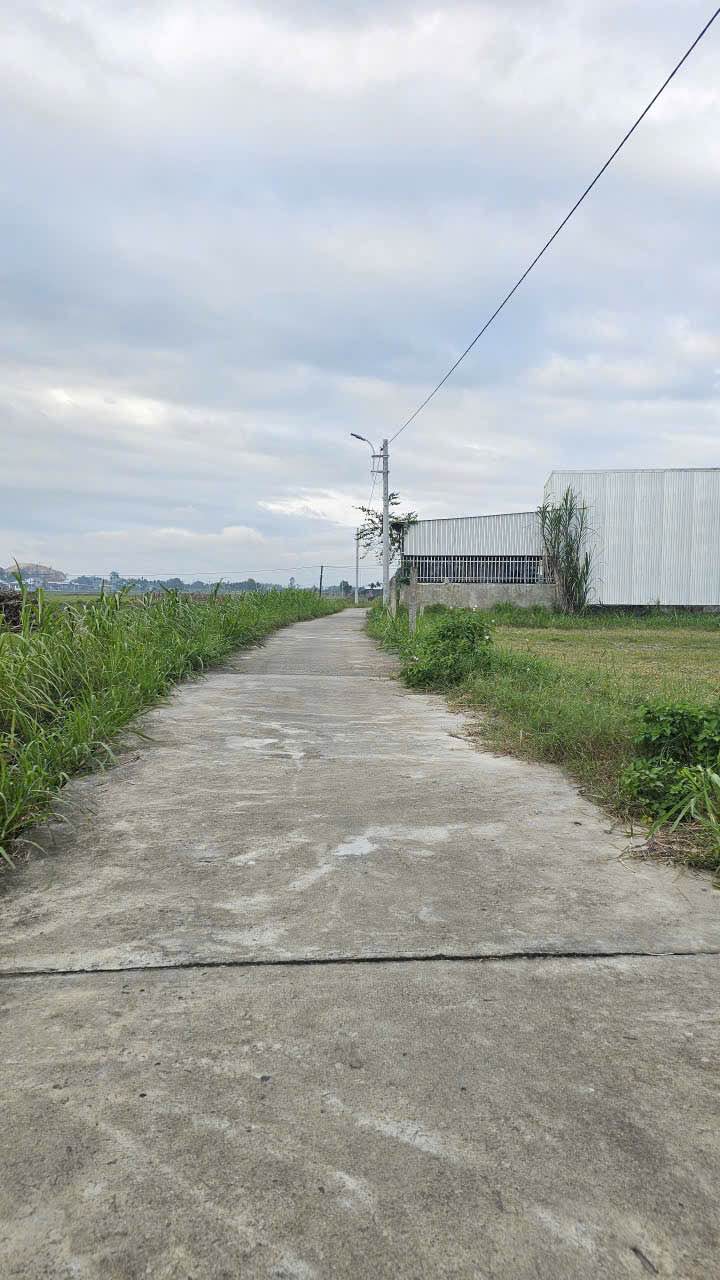 Đất nền Trương Quang Trọng 193m² giá thỏa thuận - Cơ hội đầu tư hấp dẫn!