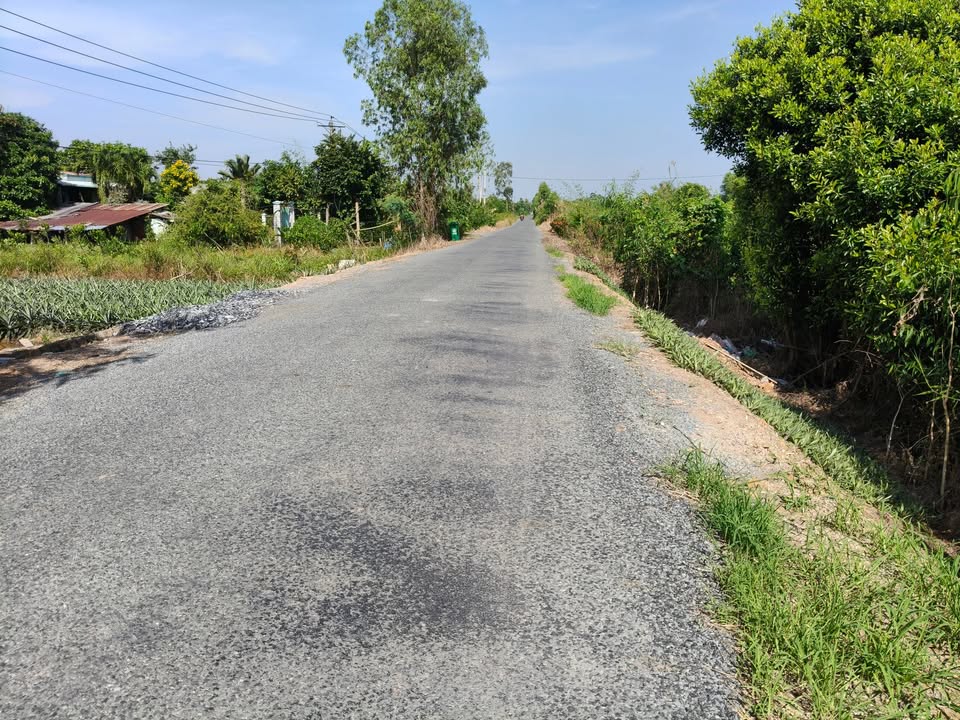 Đất nền 12 công tại Phước Lập, Tân Phước, Tiền Giang - Giá chỉ 10.5 tỷ!