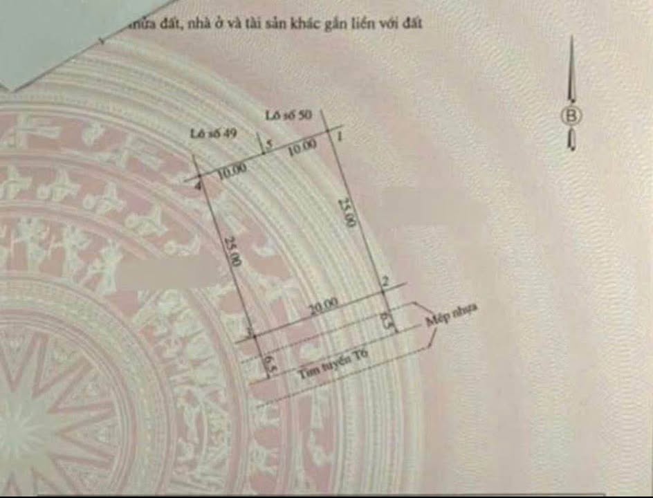 Đất mặt tiền đường nhựa Khu đô thị Đặng Dung Đông Hà 500m² giá 3.65 tỷ - Vị trí đẹp, thuận tiện kinh doanh!