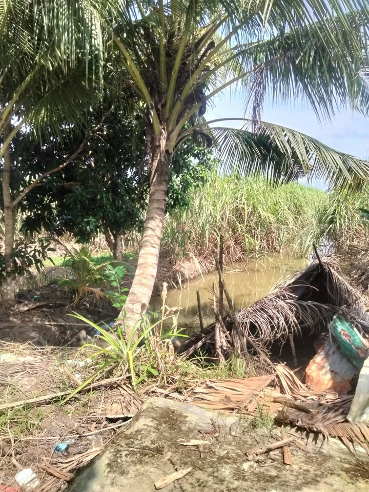 Đất nền Hiệp Hưng, 6000m² giá 1 tỷ - Đầu tư sinh lời hấp dẫn!