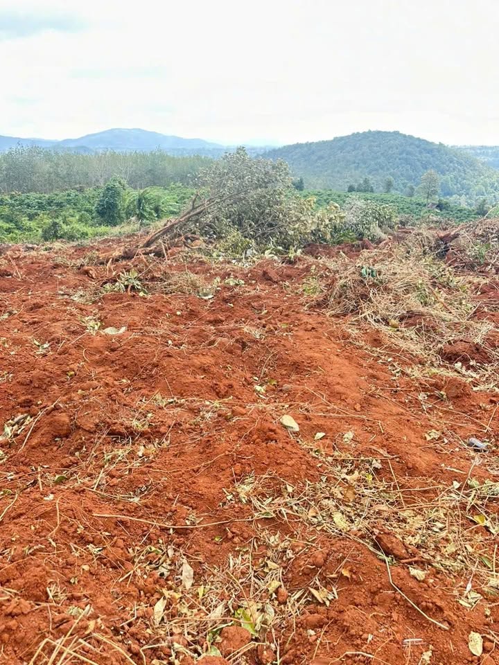 Đất nền 5 sào tại xã HNol, Đăk Đoa - Giá chỉ 350 triệu!