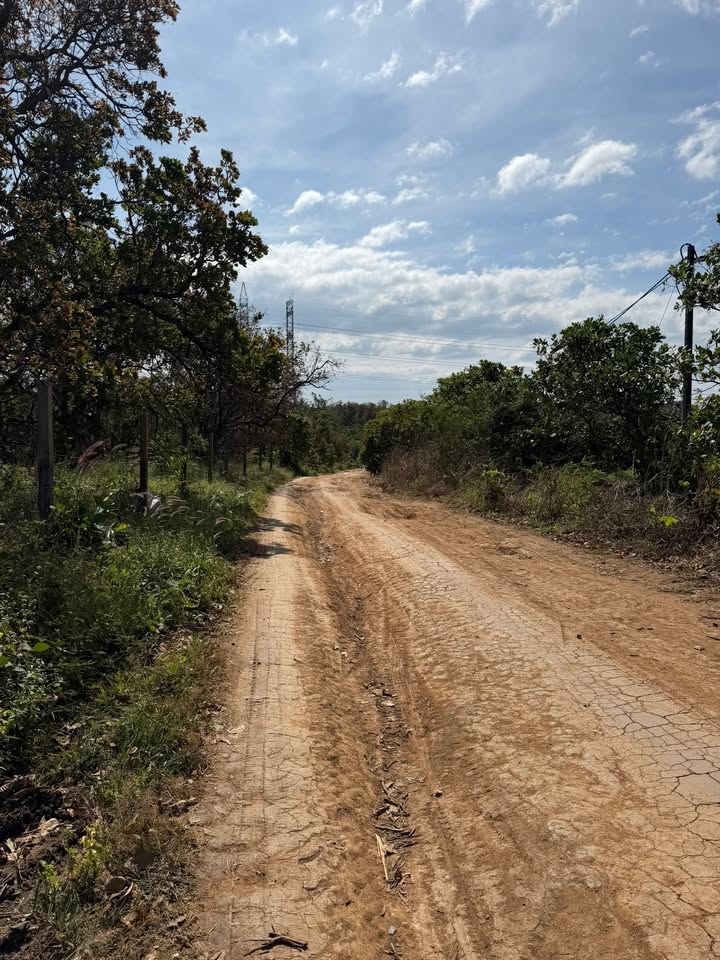 Đất nền xã Ia Grai 80m² giá 1.9 tỷ - Cơ hội đầu tư tuyệt vời!