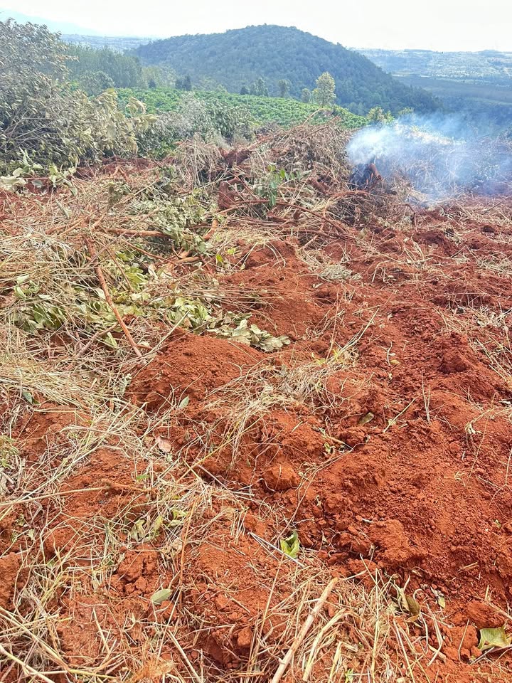 Đất nền xã Hnol Đăk Đoa 19998m² giá 300 triệu - Đất sạch, vào việc ngay!