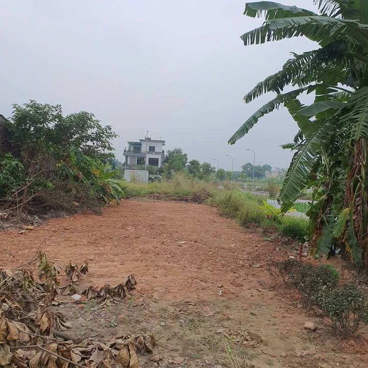 Đất nền mặt đường Lạc Long Quân, khu Hồng Hà 1, 120m² - Cơ hội đầu tư tuyệt vời!