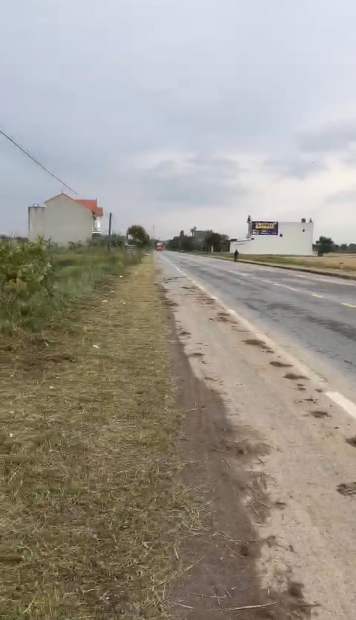 Đất nền Dương Hồng Thủy, Thái Thụy 100m² giá 1.8 tỷ - Đầu tư sinh lời ngay!