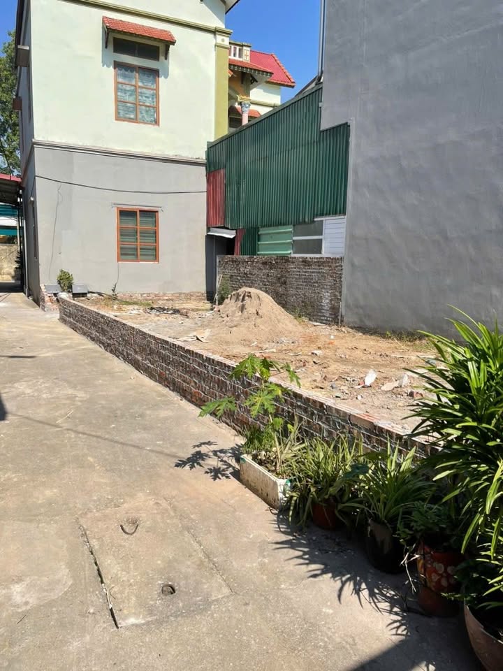 Đất thổ cư Mão Điền 100m² giá thỏa thuận - Vị trí đắc địa gần KCN Thuận Thành II