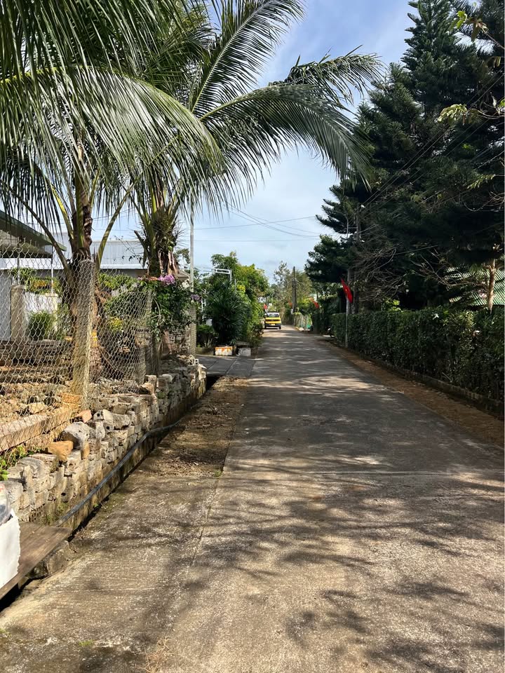 Đất nền đường 1/5, phường B'Lao, Bảo Lộc 420m² giá 3.6 tỷ - Cơ hội đầu tư sinh lời!