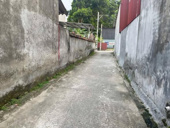 Đất nền Tiên Phong, Yên Dũng 100m² giá 1 tỷ - Cơ hội đầu tư hiếm có!