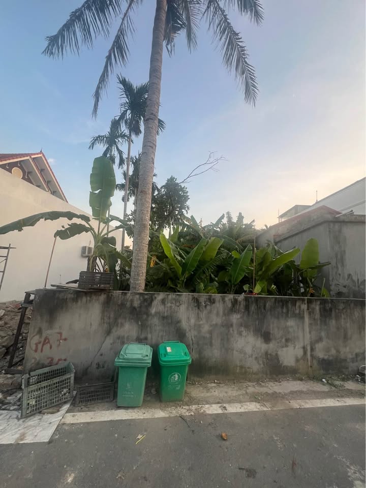 Đất mặt tiền đường Vọng Hải, Hưng Đạo, 124m² giá 3.1 tỷ - Cơ hội đầu tư tốt!