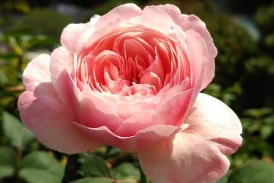 Đất nền lô góc Đồng Trung 331m² giá 2 tỷ - Gần 3 trường học!