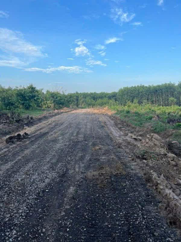 Đất nền 1000m² tại Xuân Thành, Đồng Nai - Giá tốt, cơ hội đầu tư hấp dẫn!