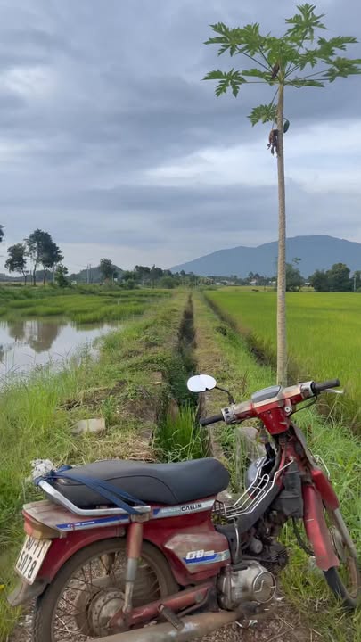 Đất nông nghiệp Xuân Phú Đồng Nai 2340m² giá 1.699 tỷ - Cơ hội đầu tư tốt!