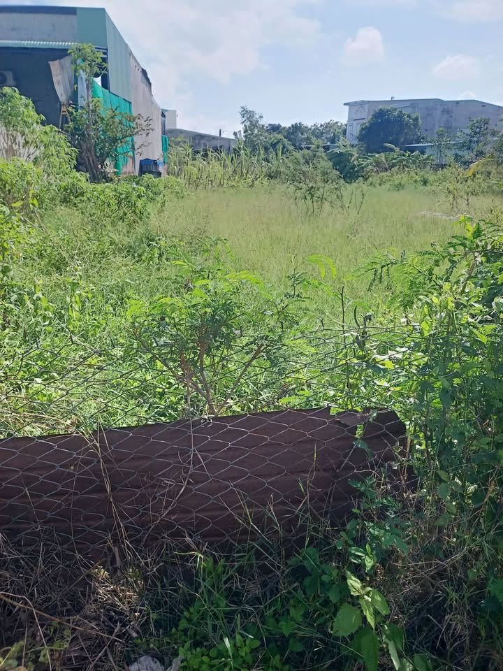 Đất thổ cư Ayun Pa 160m² giá chỉ 7 triệu - Cơ hội không thể bỏ lỡ!