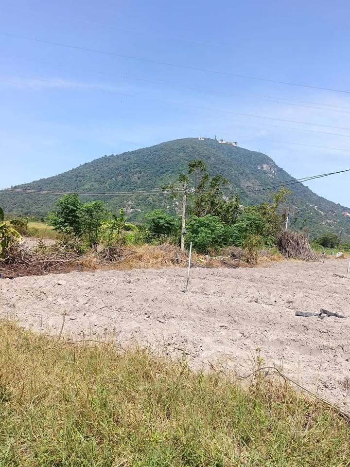 Đất Bầu Năng Dương Minh Châu 15000m² giá 2.4 tỷ - Cơ hội đầu tư tuyệt vời!