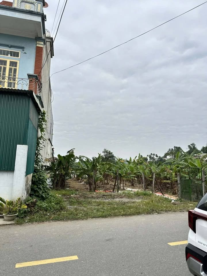 Đất nền Đường 5 Nho Quan 120m² giá 1.1 tỷ - Cơ hội đầu tư sinh lời!