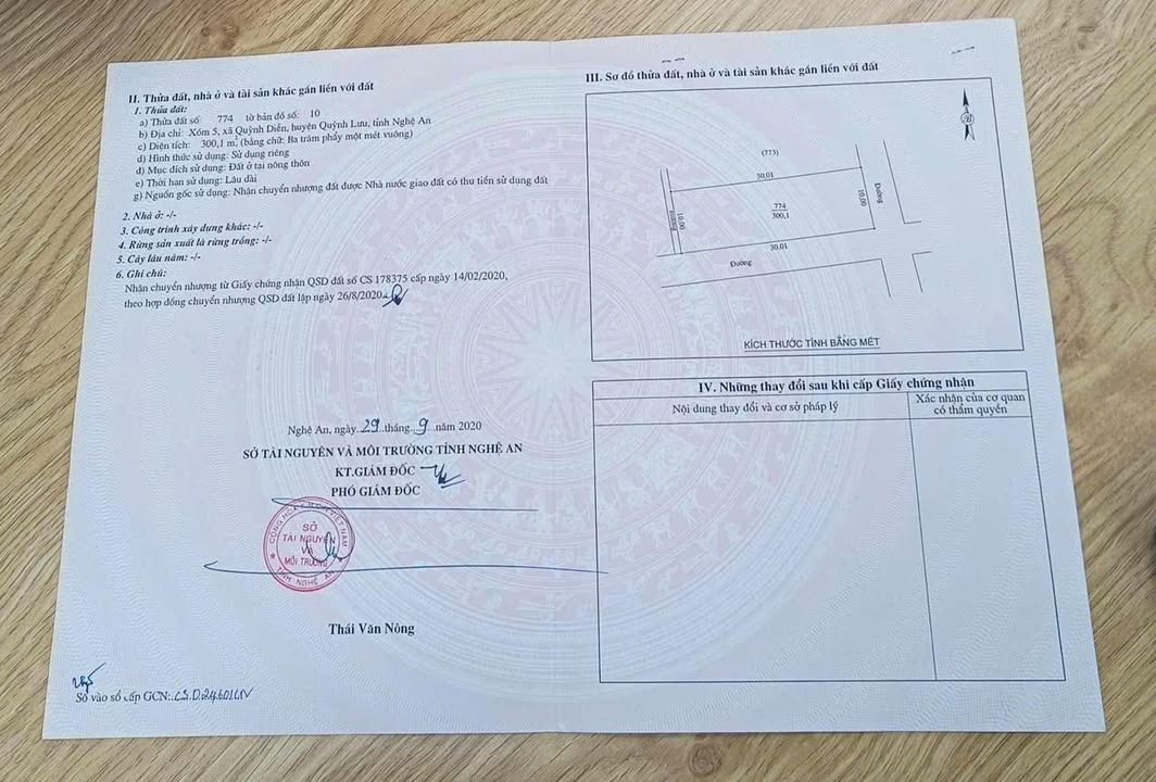 Đất đấu giá Hàng Dừa, Quỳnh Diễn 300m² - Lô góc 2 mặt tiền hiếm có!