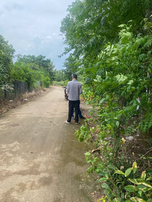 Nhà nhỏ 1440m² tại ấp Hiệp Hoàn A, Lộc Ninh chỉ 600 triệu - Sổ hồng chính chủ!