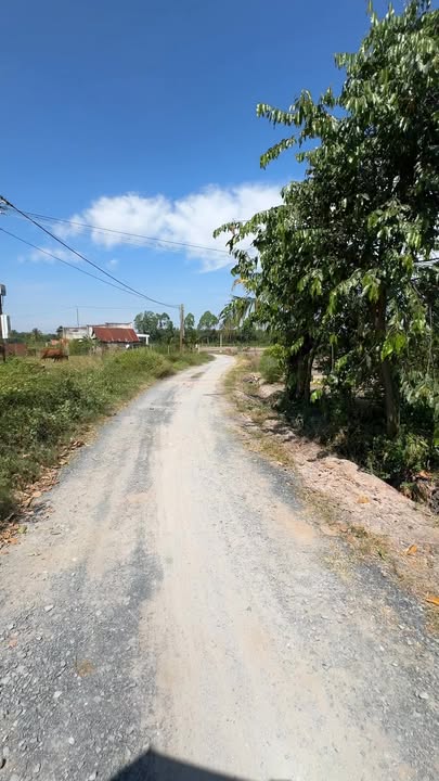 Đất nền Suối Đá, Dương Minh Châu, Tây Ninh 215m² giá chỉ 200 triệu - Cơ hội vàng cho nhà đầu tư!