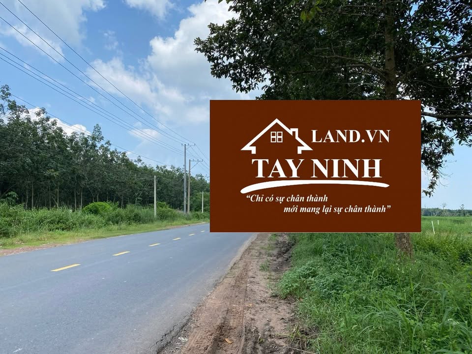 Đất mặt tiền Bòn Bon, Mỏ Công, Tân Biên 390m² giá 850 triệu - Cơ hội đầu tư tuyệt vời!