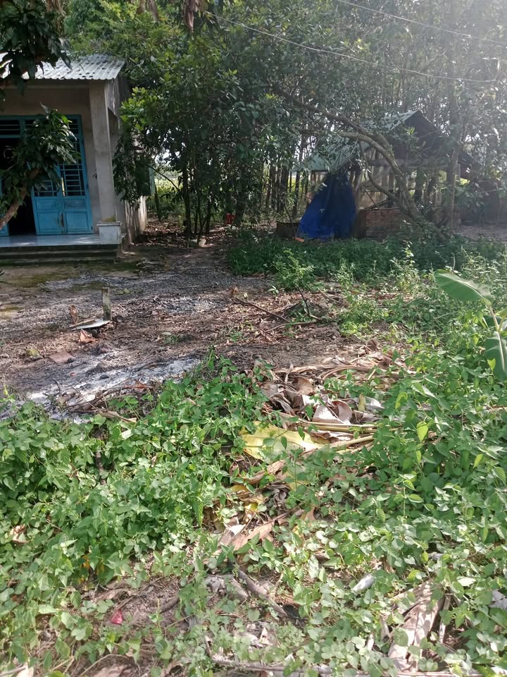 Đất nền Thạnh Bình Tân Biên 682m² giá 440 triệu - Cơ hội đầu tư tốt!