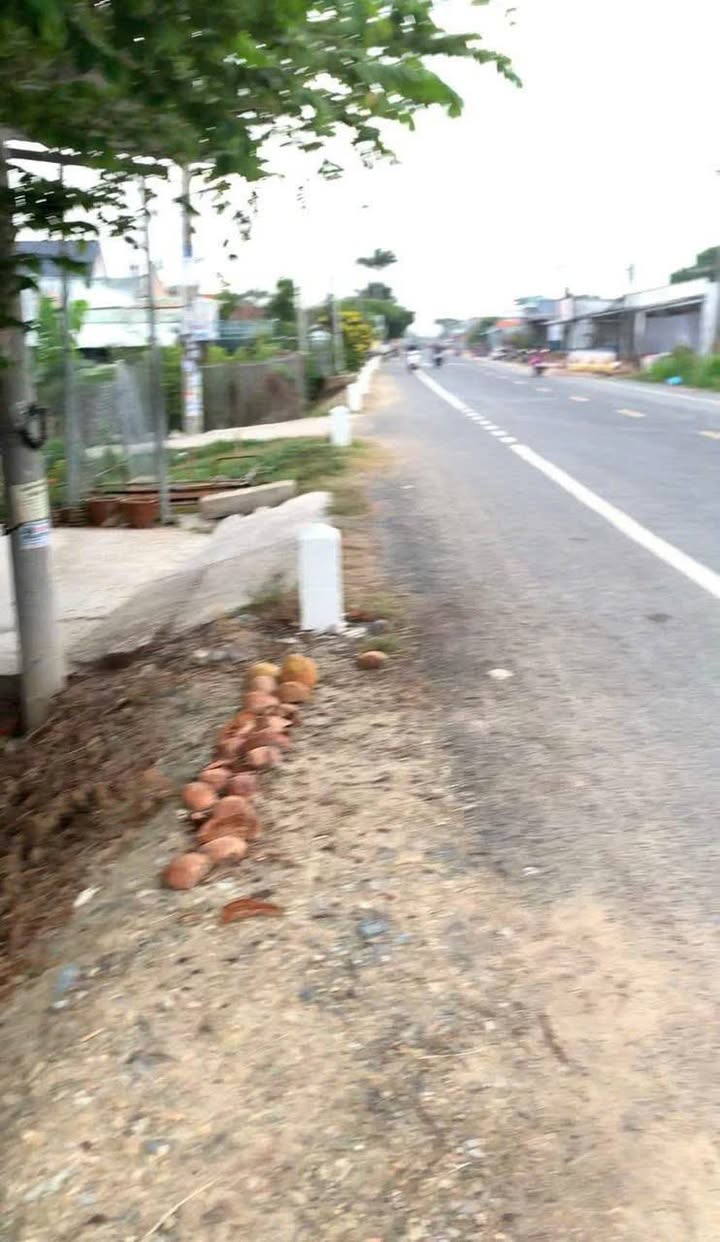 Đất 3 mặt tiền Quốc lộ 57, Vĩnh Bình, 1400m² giá 6.5 tỷ - Đầu tư sinh lời ngay!