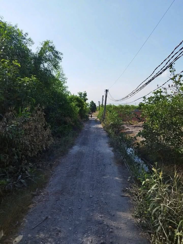 Đất vườn 3000m² ấp 10 xã Lương Hoà Bến Lức - Giá chỉ 3.55 tỷ, vị trí đắc địa!