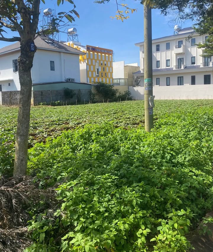 Đất nền mặt đường Nguyễn Thị Định, Đức Trọng 250m² giá 8.5 tỷ - Vị trí tiềm năng phát triển!