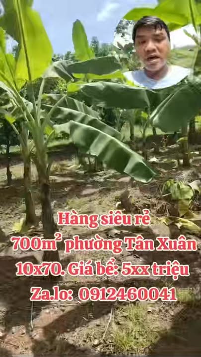 Đất nền Tân Xuân Đồng Xoài 700m² giá chỉ 500 triệu - Cơ hội đầu tư hấp dẫn!