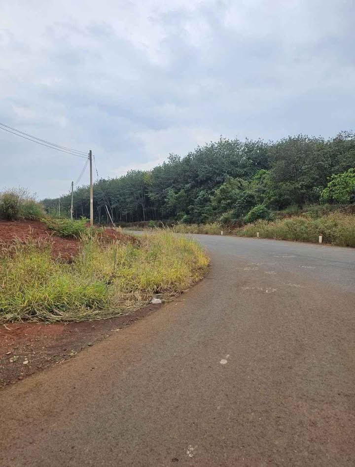 Đất nền Tân Phước 300m² giá chỉ 200 triệu - Đầu tư sinh lời cao!