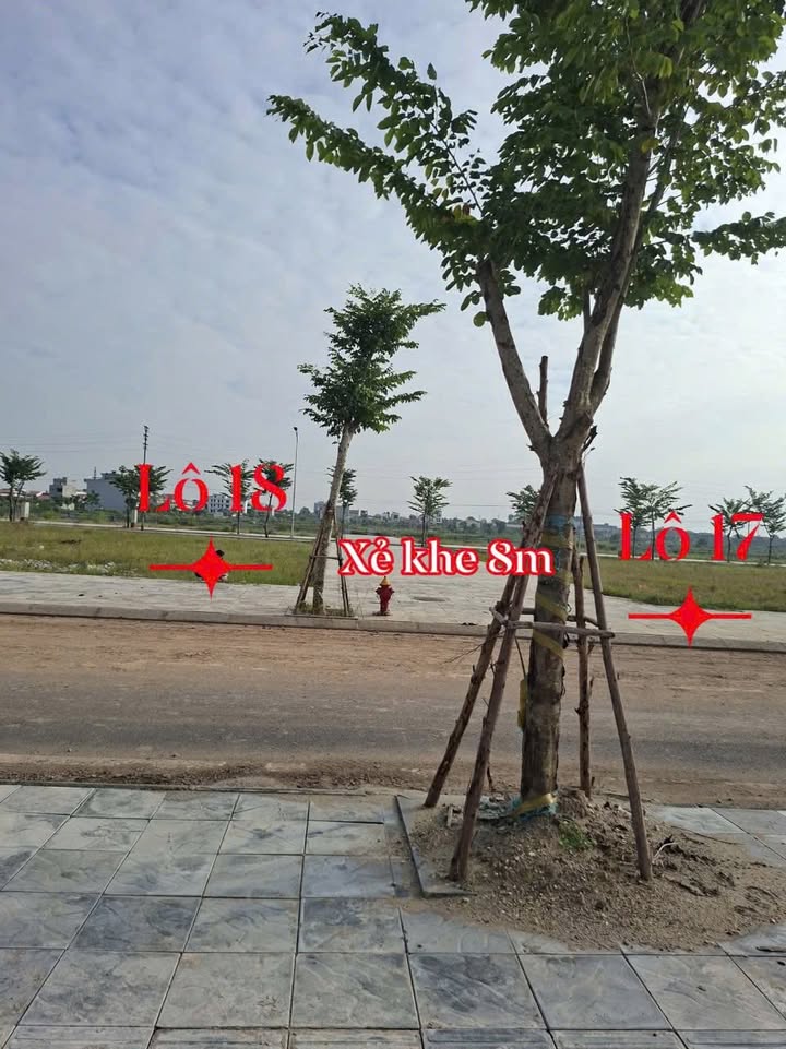 Đất nền dự án Hoàng Điệp Duy Tiên 100m² giá thỏa thuận - Sổ đỏ chính chủ sẵn sàng!