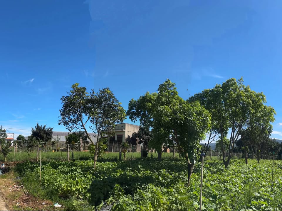 Đất nền Nam Ban Lâm Hà 888m² giá 2.3 tỷ - Chốt nhanh trong tuần!