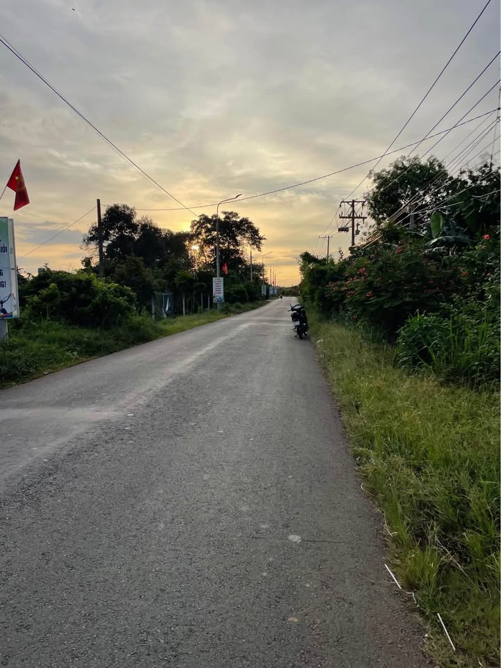 Đất thổ cư 275m² mặt tiền nhựa Phú Hòa, Đồng Nai - Giá thương lượng hấp dẫn!