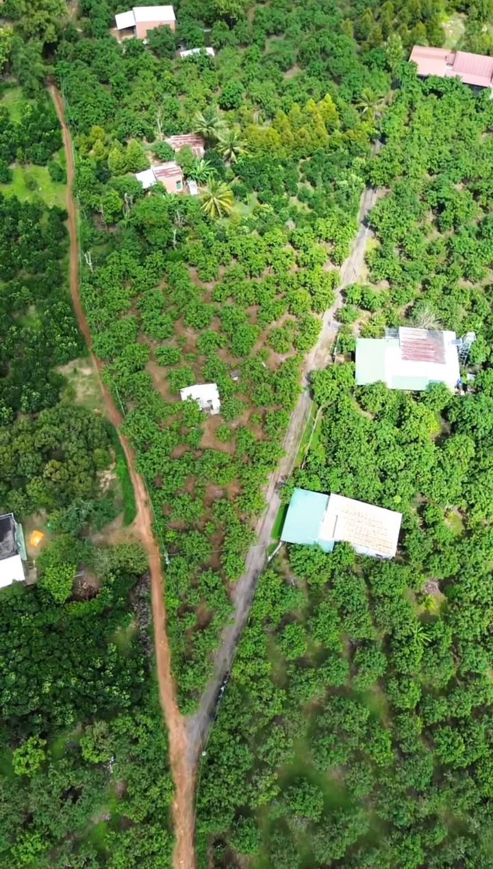 Đất nền 2,8 SÀO tại xã La Ngà, Định Quán - Chỉ 1,1 tỷ, 2 mặt tiền đường