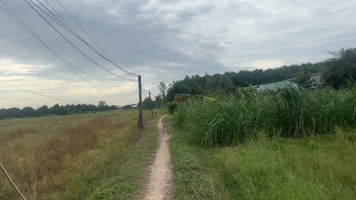 Đất thổ cư Long Hòa, Hòa Thành, Tây Ninh 192m² giá 190 triệu - Cơ hội đầu tư hấp dẫn!