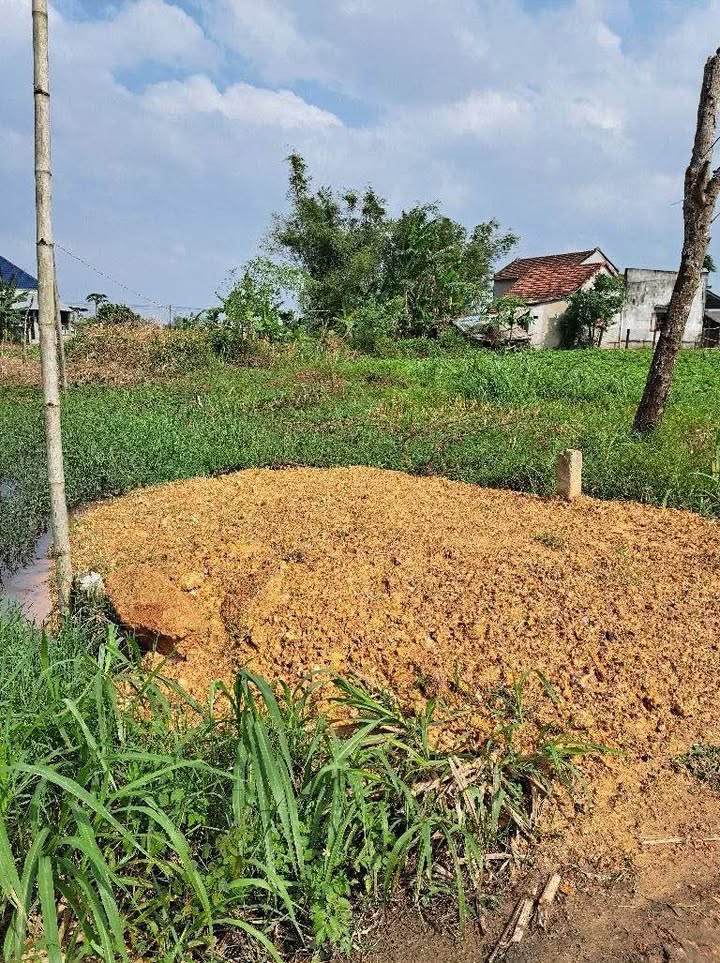 Đất vườn Đức Minh 500m² giá 300 triệu - Sổ đỏ chính chủ, xây dựng tự do!