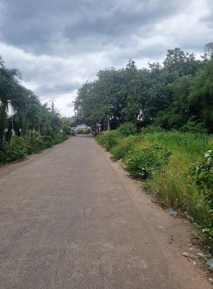 Đất nền 773m² mặt tiền đường CN5, KCN Tân Bình - Chỉ 3 tỷ, cơ hội đầu tư hấp dẫn!