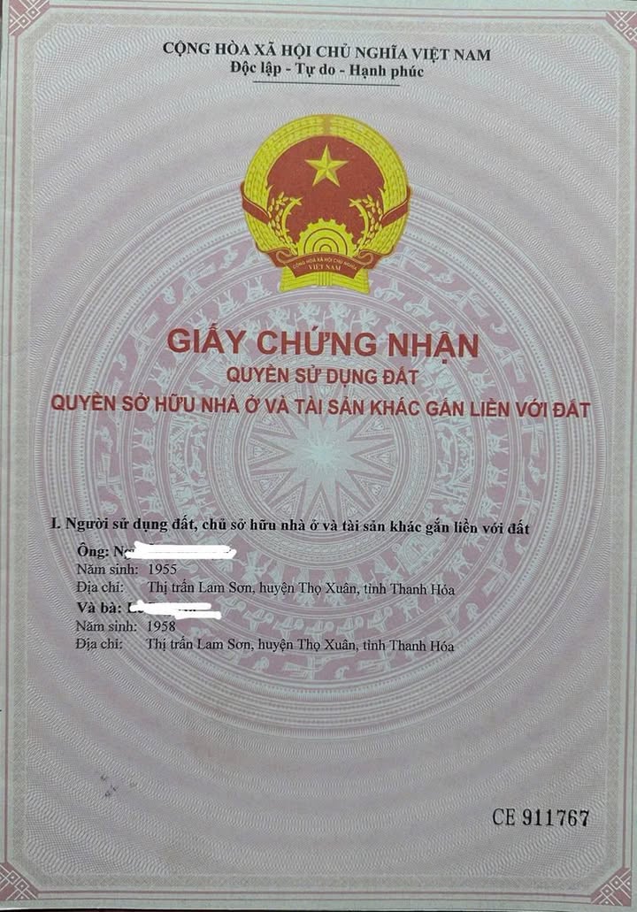 Đất thổ cư 260m² mặt đường Thôn 1 Thọ Lâm - Sổ đỏ chính chủ